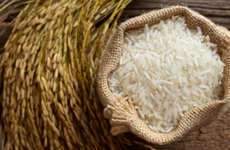 pds-black-marketing-in-mp-mp-samachar