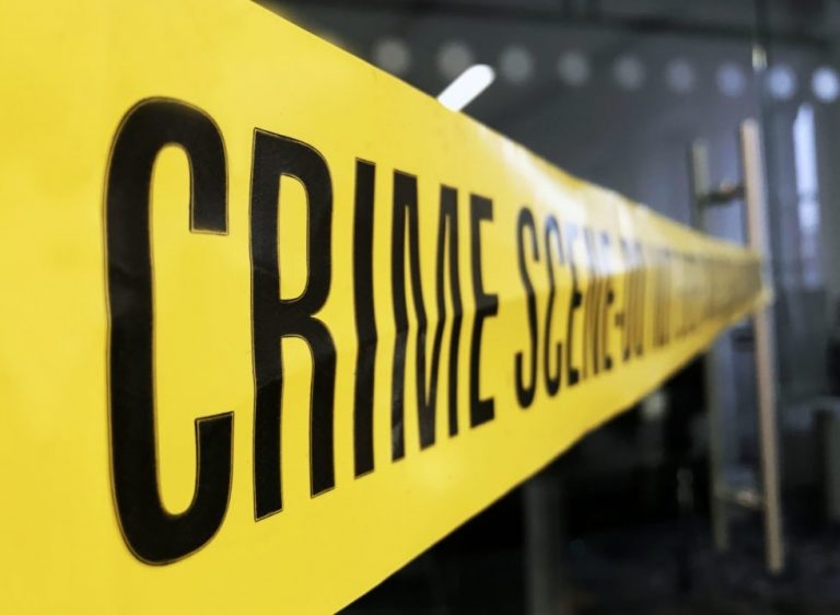 Encroachment Removal went to attack on forest