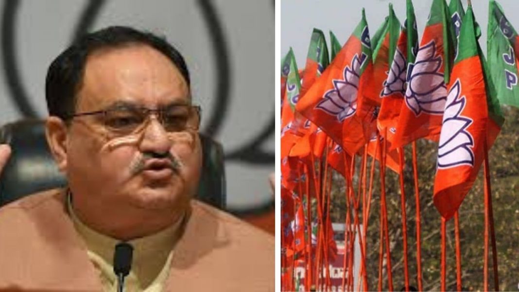 nadda-bjp