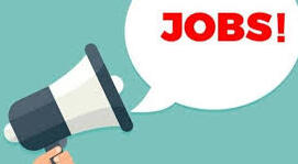 sarkari job more than 1600 posts