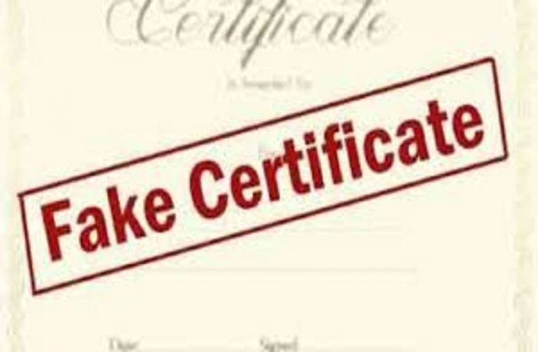 फर्जी जाति प्रमाण पत्र के आधार पर नौकरी कर रहे छत्तीसगढ़ के अधिकारी और कर्मचारी, होगी कार्रवाई