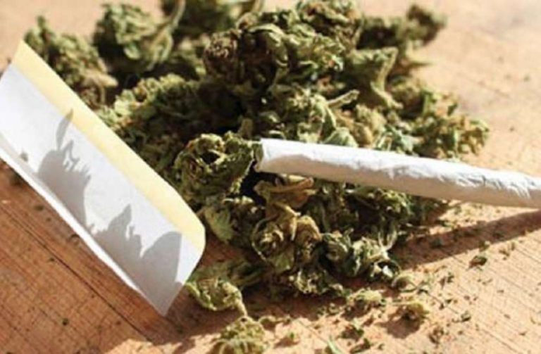 गांजे की तस्करी के आरोप में पति-पत्नी गिरफ्तार, कार-बाइक हुई जब्त