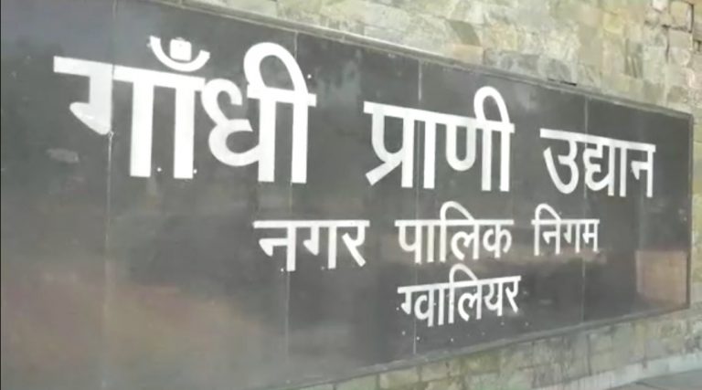 गर्मी का सितम: चिड़ियाघर में हवा सहित भोजन का मीनू बदला, पानीदार फल-सब्जियों को डाइट में किया शामिल