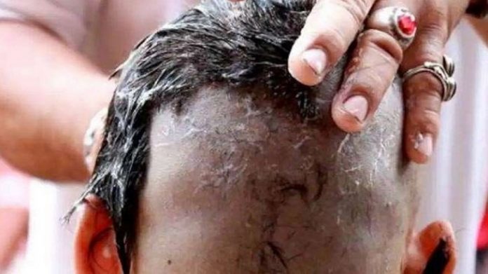 mp latesst news mpsamachar