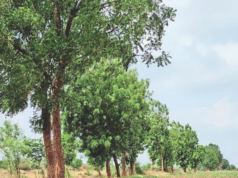 हाउसिंग बोर्ड आयुक्त ने ली बैठक किया ये बड़ा फैसले