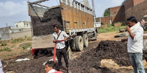 chambal herbs smuggling