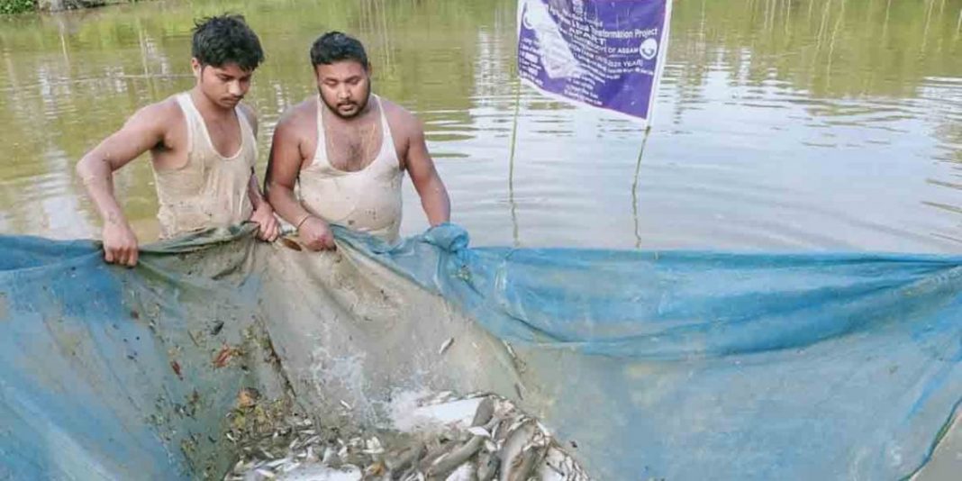 devas fraud news mp fish farming fortune