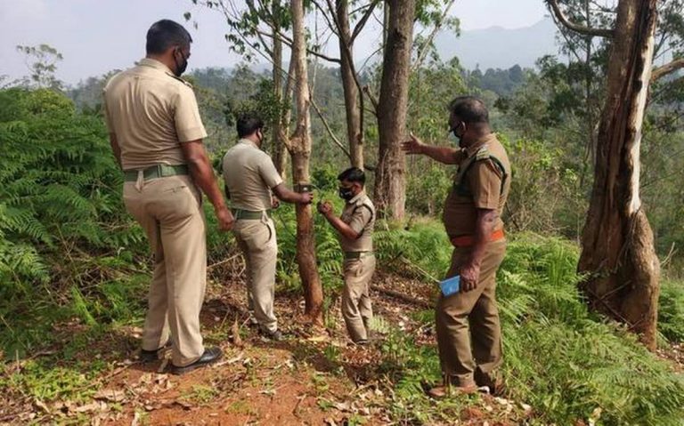तीन दर्जन से ज्यादा वनकर्मी हुए इधर-उधर,वन मंडल से हुए थोक में तबादले