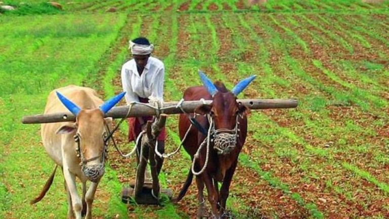 PM किसान सम्मान निधि योजना में हुआ ये बड़ा बदलाव,अटक सकते है पैसे
