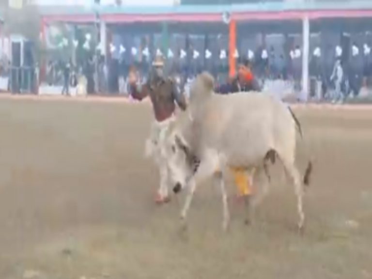 शिवराज के इस मंत्री को बेसहारा मवेशी ने मारी टक्कर,तिरंगा फहराते समय