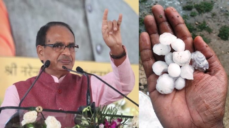 ओलावृष्टि से नुकसान हुई फसलों का होगा सर्वे,सीएम शिवराज ने दिए ये निर्देश