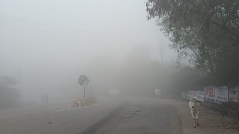 ग्वालियर चंबल में “कोल्ड डे-नाईट”, पड़ी हाड़ कपा देने वाली सर्दी