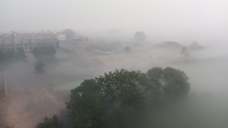 मध्यप्रदेश के इन जिले ने ओढ़ी कोहरे की चादर
