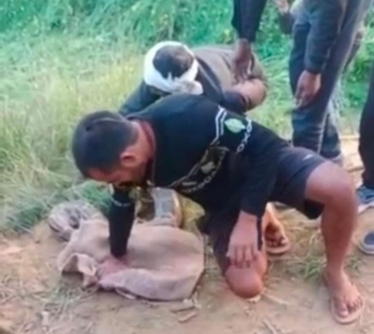 कड़ाके की सर्दी से परेशान 20 फ़ीट लंबा अजगर धूप सेकने पहुंचा, देखिए Video