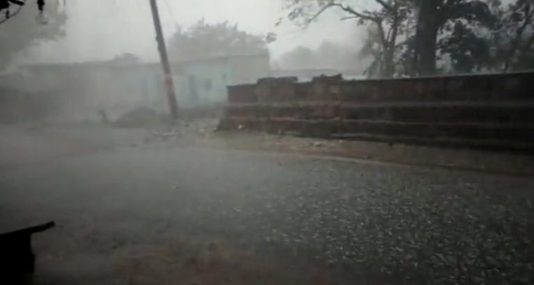 MP के इस जिले में तेज बारिश के साथ गिरे ओले, फसलो का नुकसान