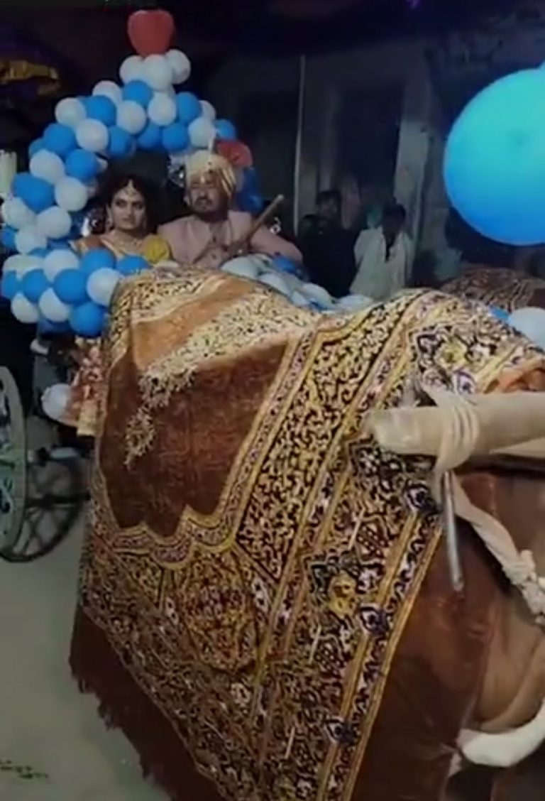 शादी में भाई ने बहन को दिया ये बड़ा तोहफा, आप भी देख रहे जाएंगे हैरान
