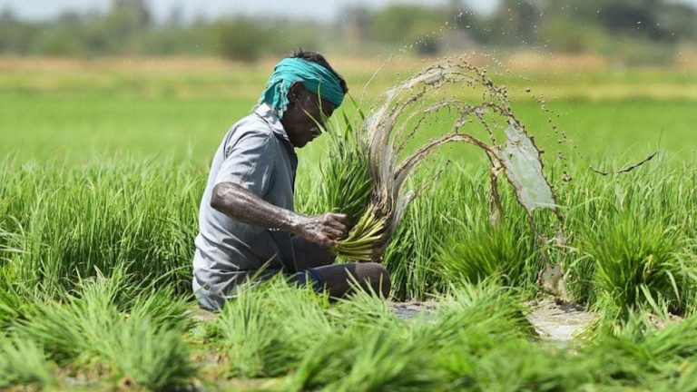 किसानों के लिए खुशखबरी, शिवराज सरकार देगी ये बड़ी राहत