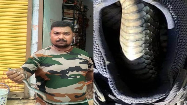 बाल बाल बची दुकानदार की जान, जूते में निकला 3 फीट लंबा सांप 