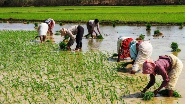 MP के किसानों के लिए खुशखबरी, आय बढ़ाएंगी बारह कंपनियां