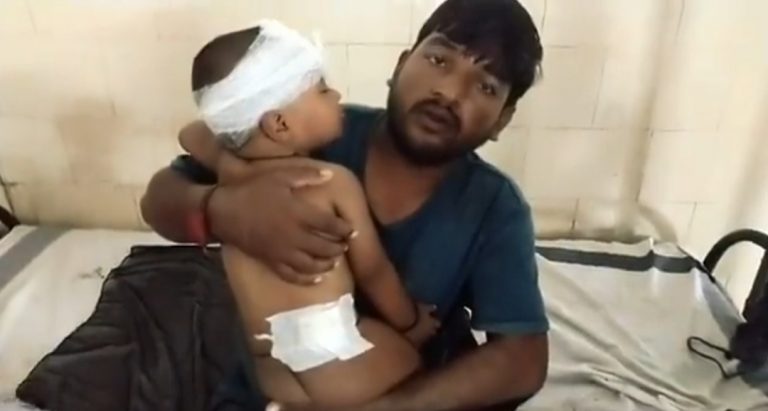 बाघ ने 15 महीने के मासूम बच्चे को जबड़े में फसाया, मां ने ऐसे बचाई जान