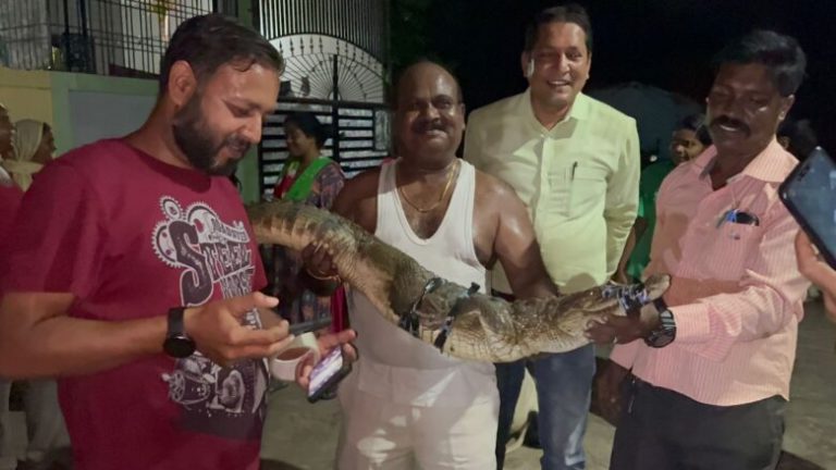 कॉलोनी में घुसा 5 फीट लंबा मगरमच्छ, मगरमच्छ को देख लोग घबराए