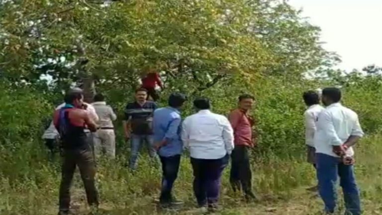 पेड़ पर लटकी मिली युवक और युवती का शव, 3 दिन से थे लापता