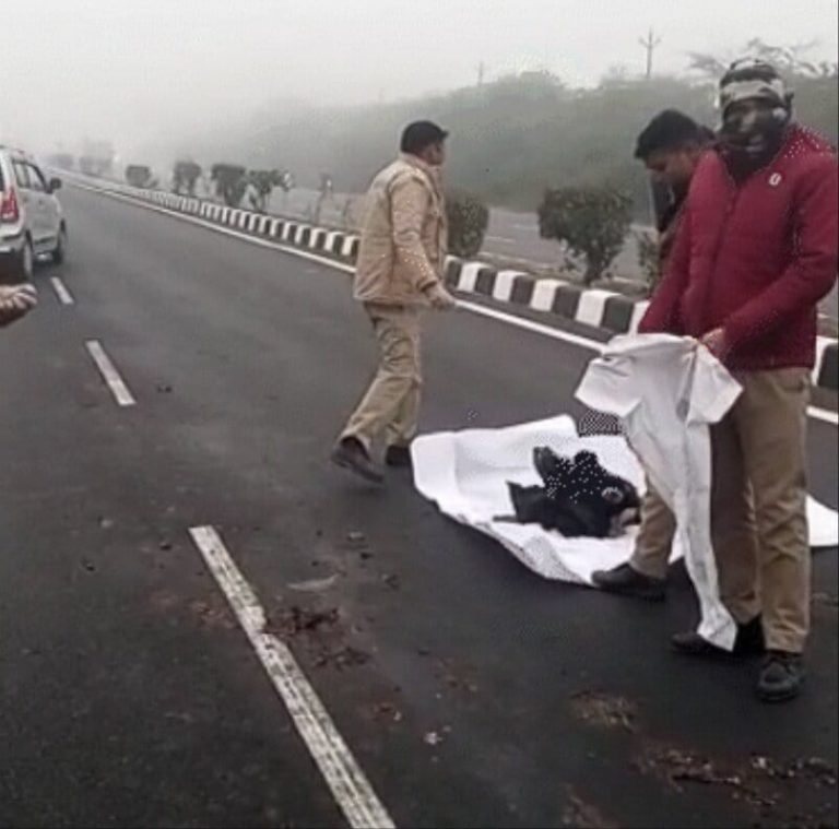सर्दी में कोहरे के कारण हाईवे पर पड़े शव को रौंदती हुई निकली गाड़ियां