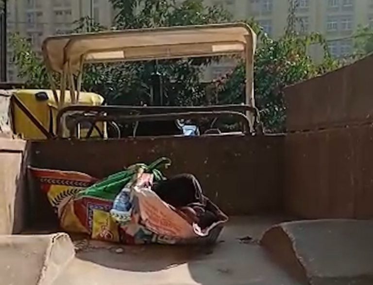 प्रेमी को घर बुलाया और भाई से करा दी हत्या