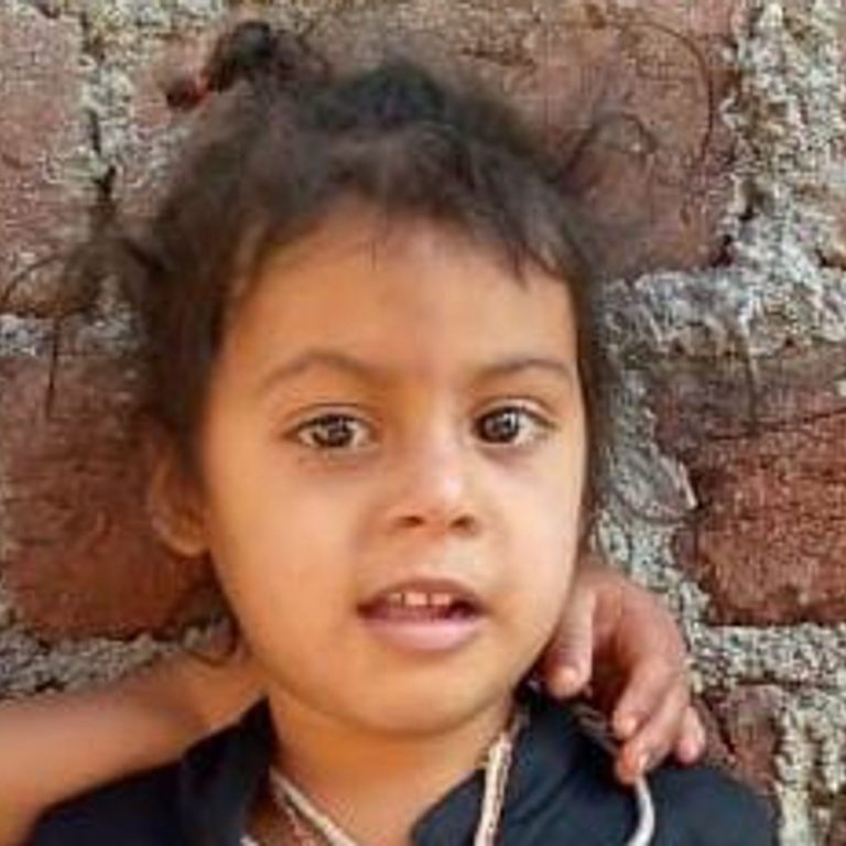 घर के सामने खेल रही 4 वर्षीय बच्ची को पिकअप वाहन ने रौंदा, हुई मौत 