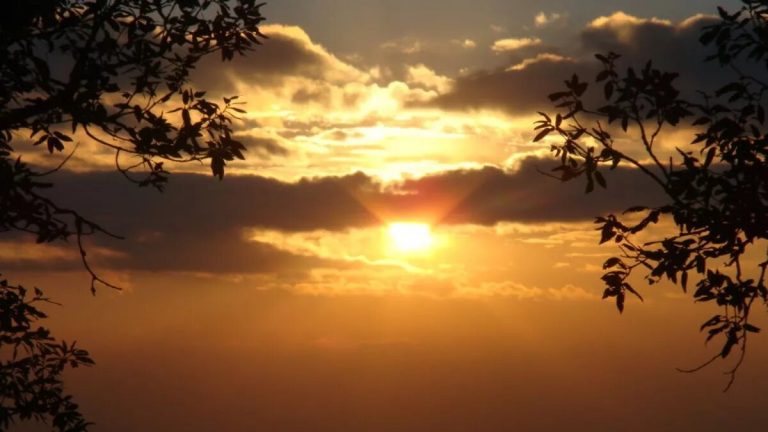 फिर बदलेगा मौसम का मिजाज, एमपी के इन जिलों में हो सकती है बारिश