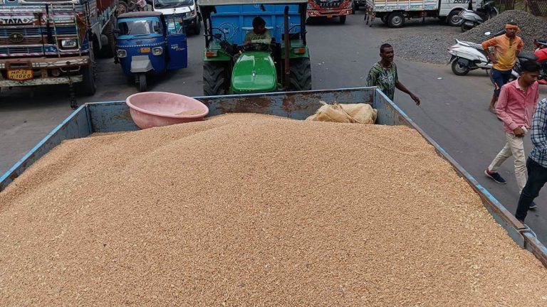 MP में समर्थन मूल्य पर फसलों की खरीदी का पंजीयन हुआ शुरू