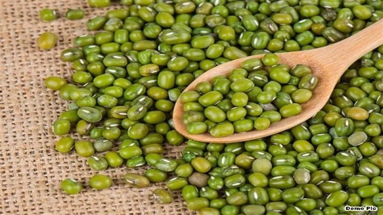 समर्थन मूल्‍य पर मूंग खरीदी के लिए पंजीयन की तारीख इतने तक बढी