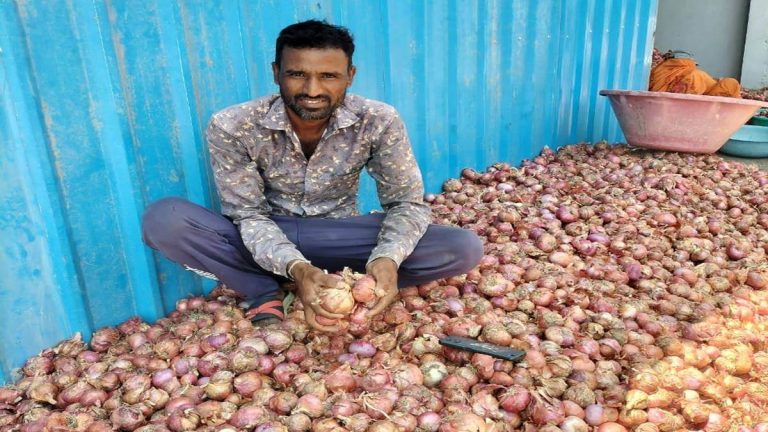किसानों को रुला रही प्याज, नहीं मिल रहे अच्छे दाम