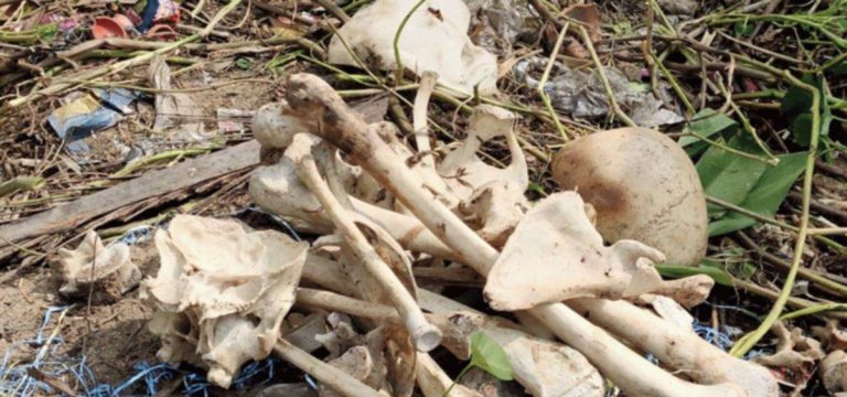 खाली प्‍लाट में मिली इंसानी हड्डियां, मचा हड़कंप