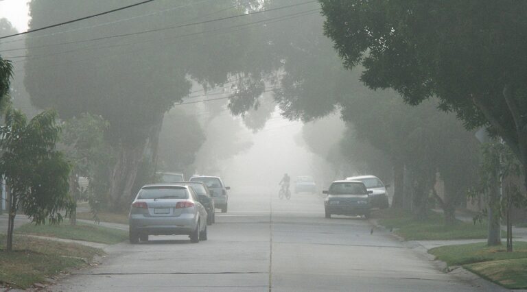 मौसम विभाग ने पंजाब, हरियाणा सहित इन राज्यों में कोहरे का अलर्ट किया जारी