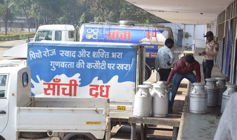 सहकारी सांची दुग्ध संघ का बड़ा फैसला, दुग्ध कारोबारियों को बड़ा झटका