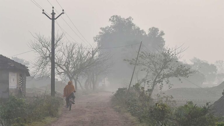 MP के 32 जिलों में घने कोहरे का अलर्ट