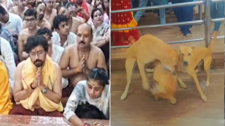 बाबा महाकाल की भस्म आरती में पहुंचे रेमो डिसूजा और टेरेंस लुईस, कुत्तों की हुई लड़ाई