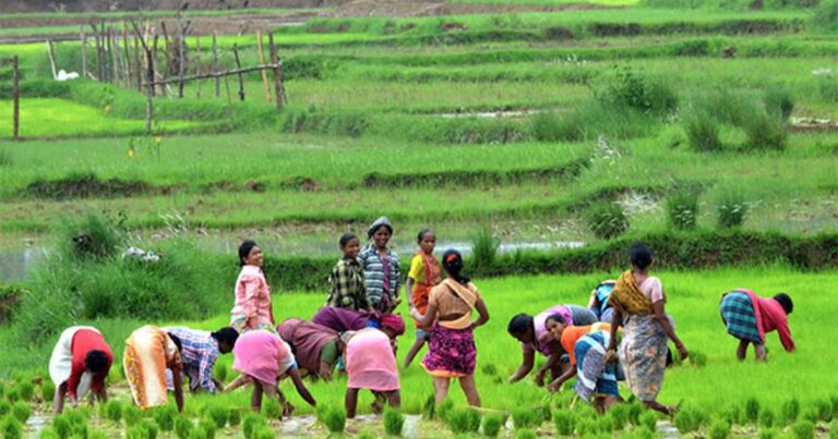 आधे देश का पेट भरते हैं ये दो राज्य, सबसे ज्यादा फल और सब्जियों का भी होता है उत्पादन