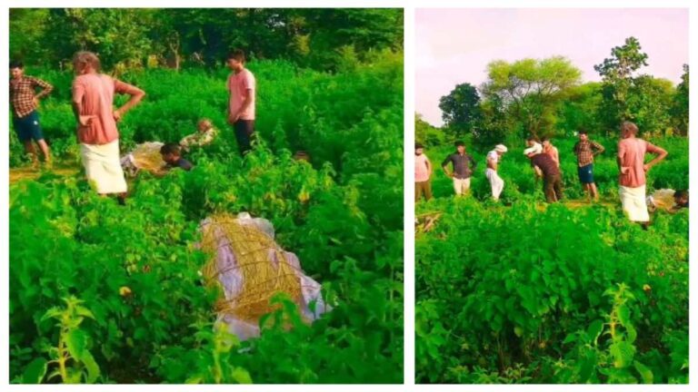 साथ जिएंगे साथ मरेंगे: पति की मौत के बाद 30 मिनट बाद पत्नी ने भी त्यागे प्राण