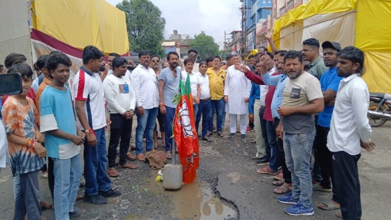 हादसे से बचने के लिए सड़क के गड्ढों पर लगाए भाजपा के झंडे, कहा- बारिश में बह गया विकास