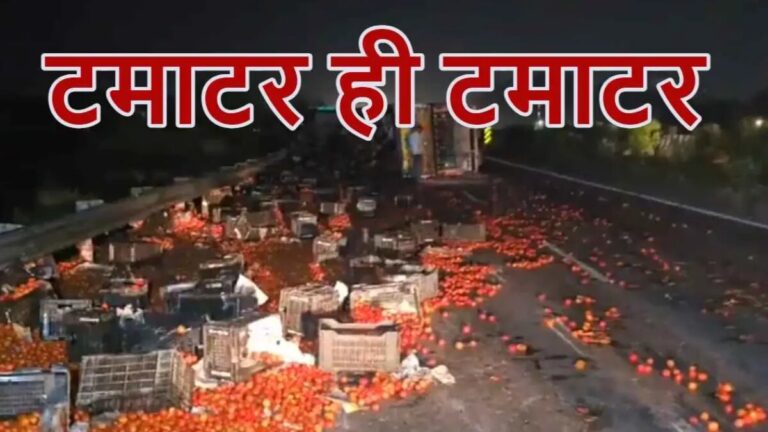 टमाटर की सुरक्षा के लिए ‘पुलिस तैनात’, जानें पूरी घटना