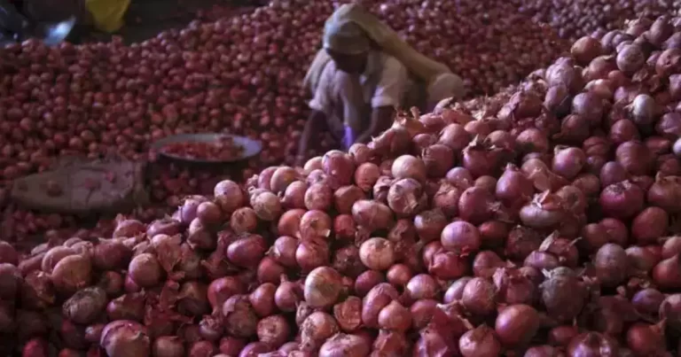 Onion Price: दिवाली से पहले दिल्ली-NCR वालों के लिए गुड न्यूज, मिलेगा सस्ता प्याज