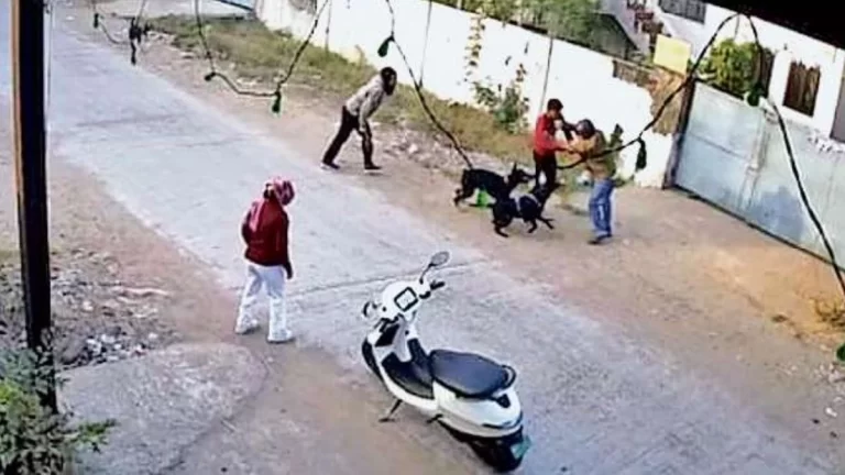 बाप-बेटी पर दो महिलाओं ने छोड़े शिकारी कुत्ते, 40 जगहों पर काटा