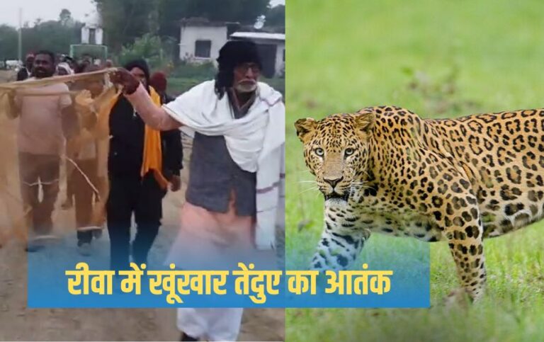 एमपी के इस गांव में आदमखोर तेंदुए की दहशत, जाल लेकर जंगल पहुंचे भाजपा नेता