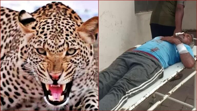 तेंदुए के हमले से दहशत, 5 लोगों पर हमला, 3 की हालत गंभीर