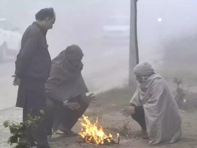 रात में कड़ाके की ठंड, दिन में धूप, जानिए एमपी के मौसम का हाल