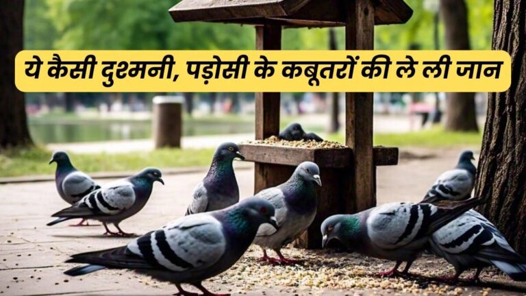 दुश्मनी में पड़ोसी ने 28 कबूतरों का गला घोंटा, जानिए पूरा मामला