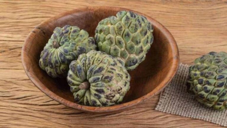 सीताफल के औषधीय गुण, कैंसर और डायबिटीज को रोकने में करता है मदद