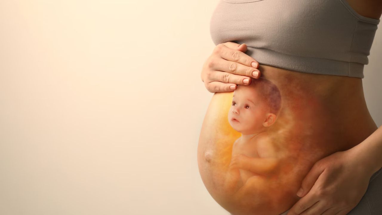 Pregnancy Baby Development: नींद या तनाव की लापरवाही से बिगड़ सकता है अजन्मे बच्चे का भविष्य जानिए कैसे करें बचाव